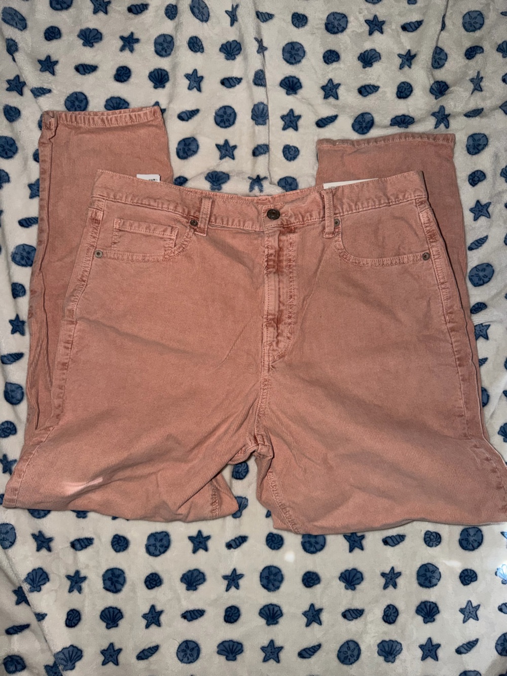 American Eagle Outfitters Peach Pink Corduroy Pants